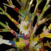 Arbre en carton