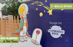 realisation-carton-xxl-le-petit-prince