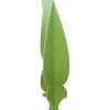 Arbre en SMART-X