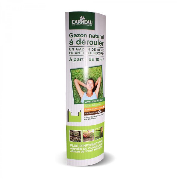 totem elliptique carton